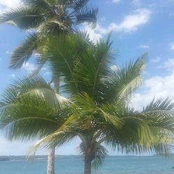 Vista spiaggia/mare