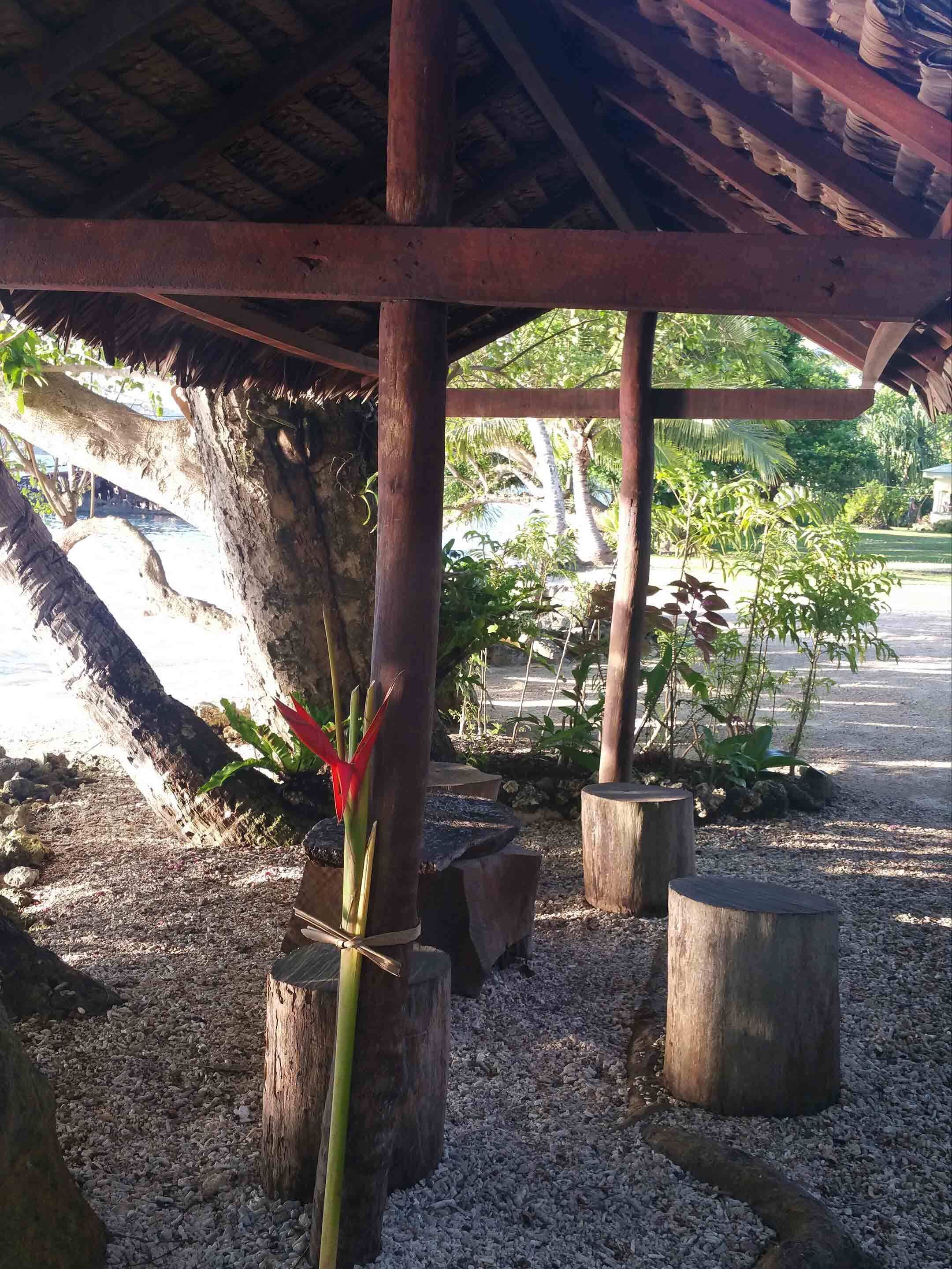 A covered outdoor area with a wooden structure, surrounded by gravel and plants.