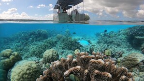 An underwater view of a coral reef with a boat docked on a small island. - Santo Seaside Villas (Luganville)