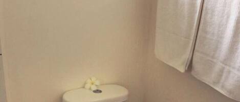 Un piccolo gabinetto bianco in un bagno con una parete semplice e un asciugamano appeso al muro.