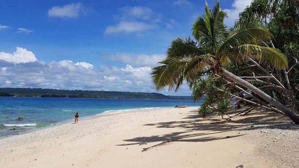 A beach with clear blue water, a sandy shore, and palm trees. - Santo Seaside Villas (Luganville)