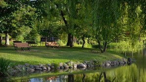 A serene park with a pond, benches, and trees. - Hotel Classe Stay Sapporo (Sapporo)