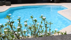 Een zwembad met helderblauw water, omgeven door een stenen rand en plantenpotten.