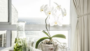 A table with a glass bottle, two glasses, and a potted plant by a window overlooking the sea. - Rocklands Bed and Breakfast (Cape Town)