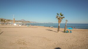 Ein Strand mit Palmen, wolkenlosem Himmel und einer fernen Bergkette.