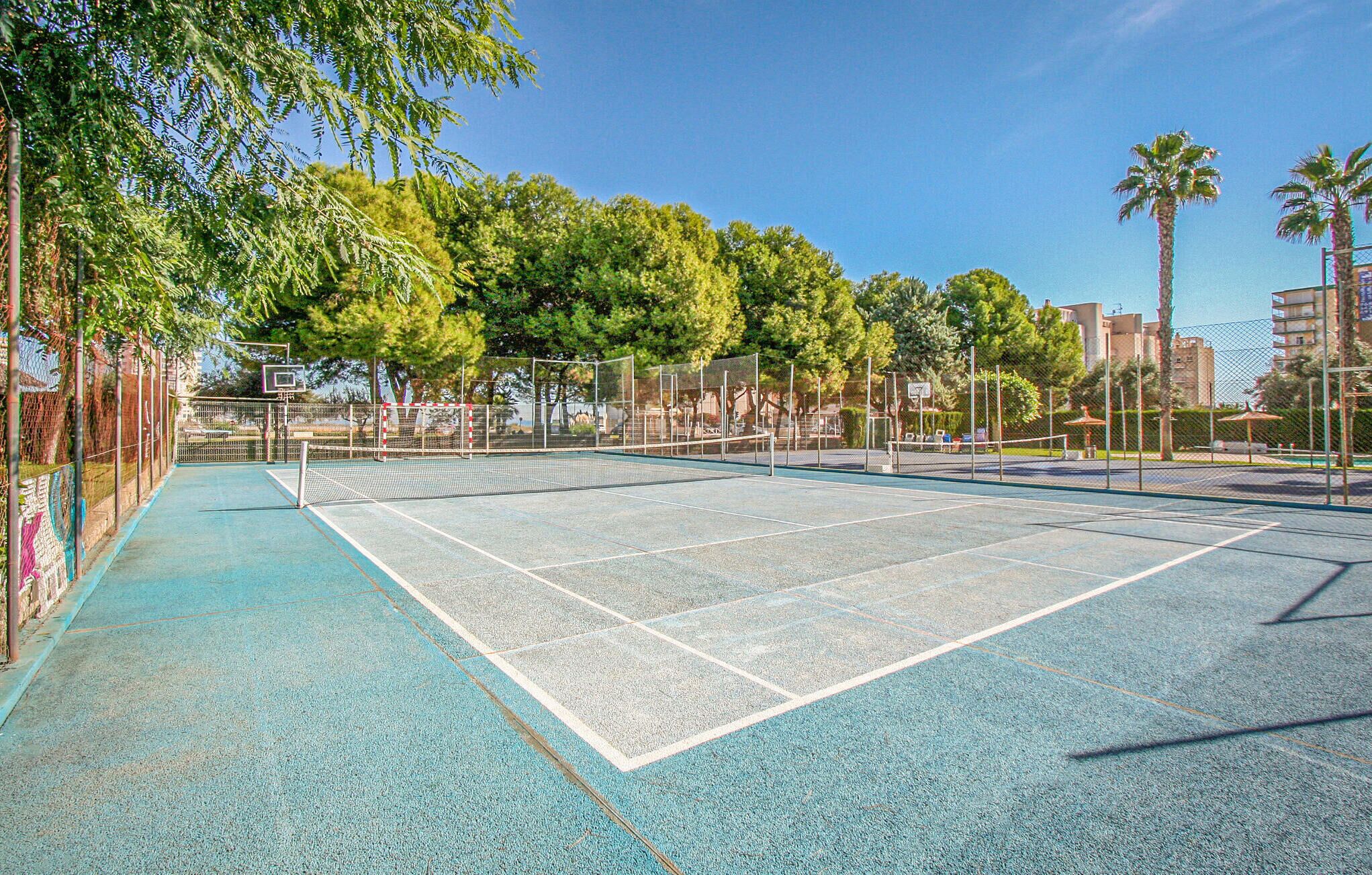 Un court de tennis en plein air, doté d’un filet, entouré d’arbres et délimité par une clôture.