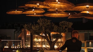 A tree in a well-lit outdoor area with multiple hanging lamps. - Lago Resort Menorca Suites del Lago - Adults Only (Ciutadella de Menorca)