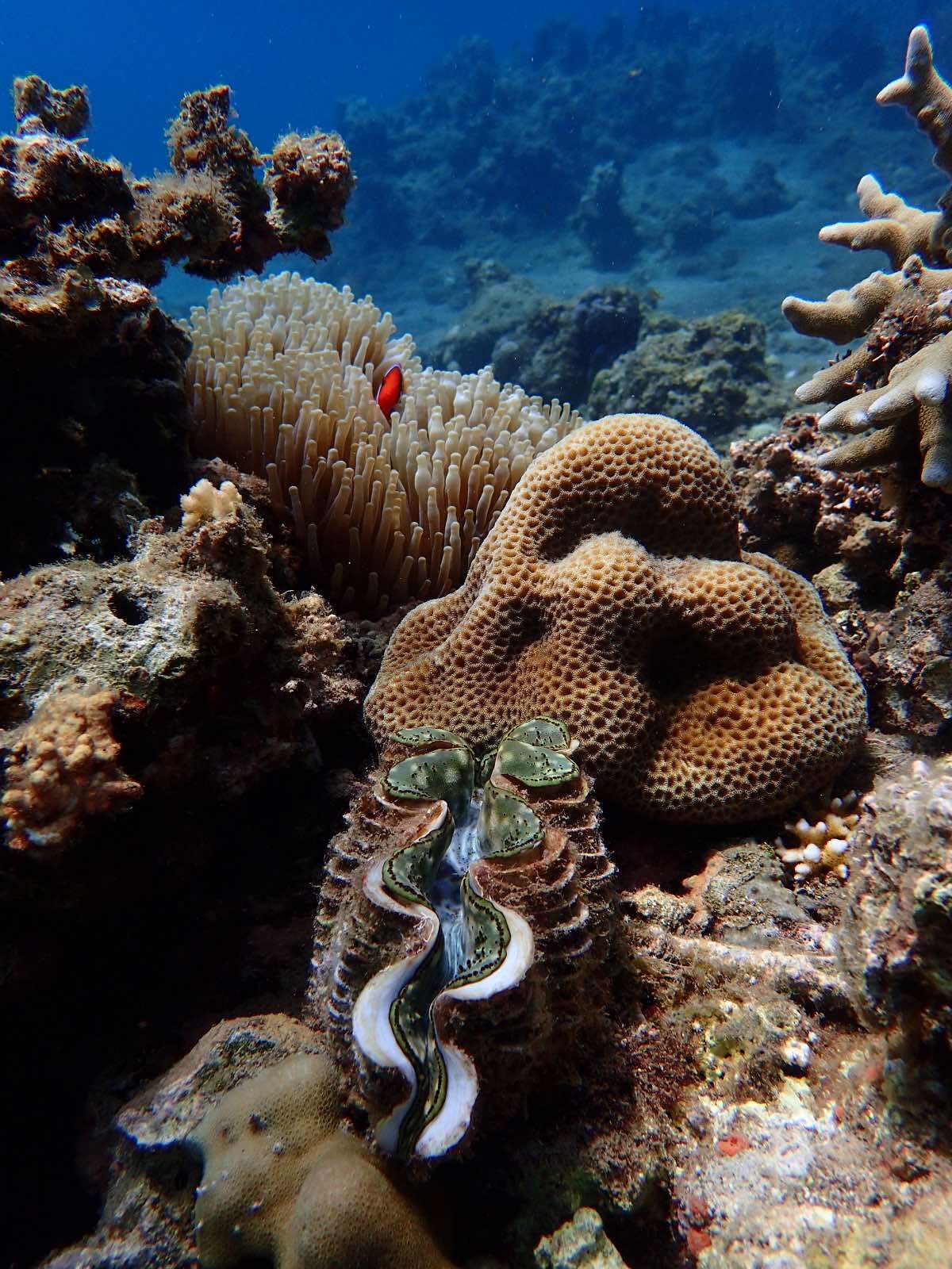 生态旅游