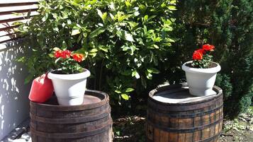 Jardin