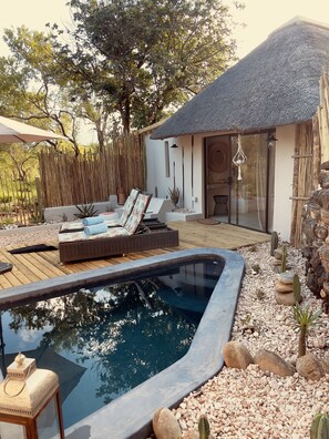 Executive Villa | Terrace/patio - The Wild Blue Lodge SAFARI & SPA (Hoedspruit)