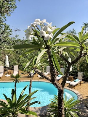 Exterior - The Wild Blue Lodge SAFARI & SPA (Hoedspruit)