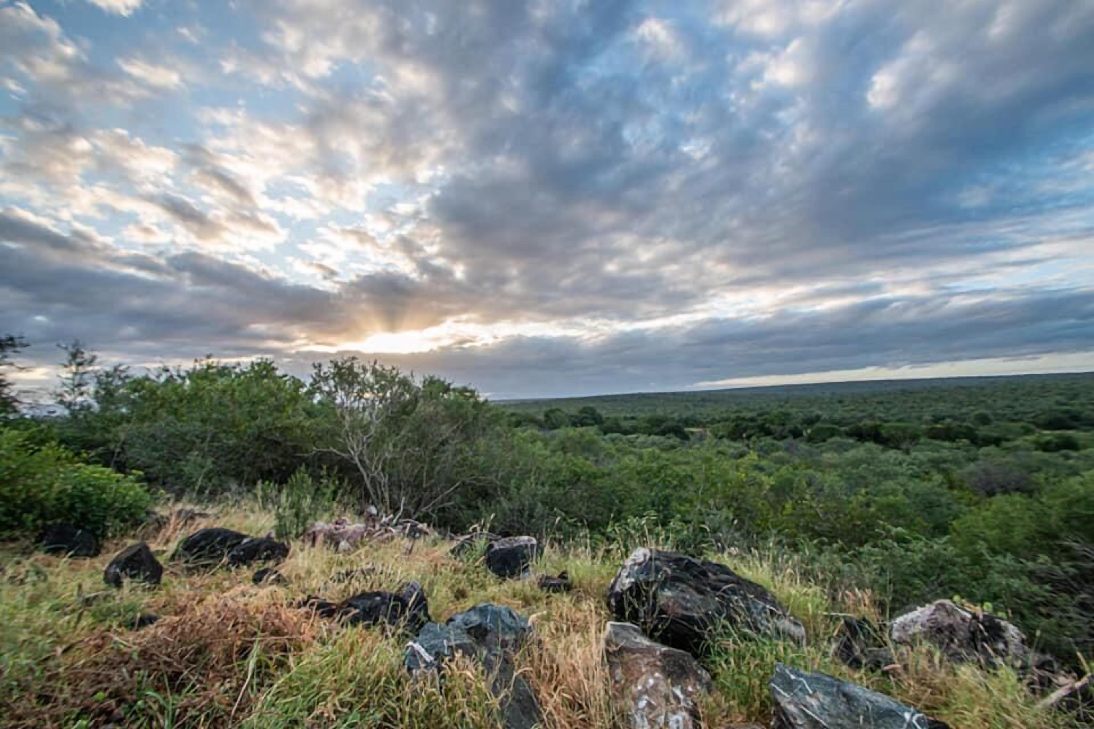 A natural landscape with a variety of vegetation and rocks.