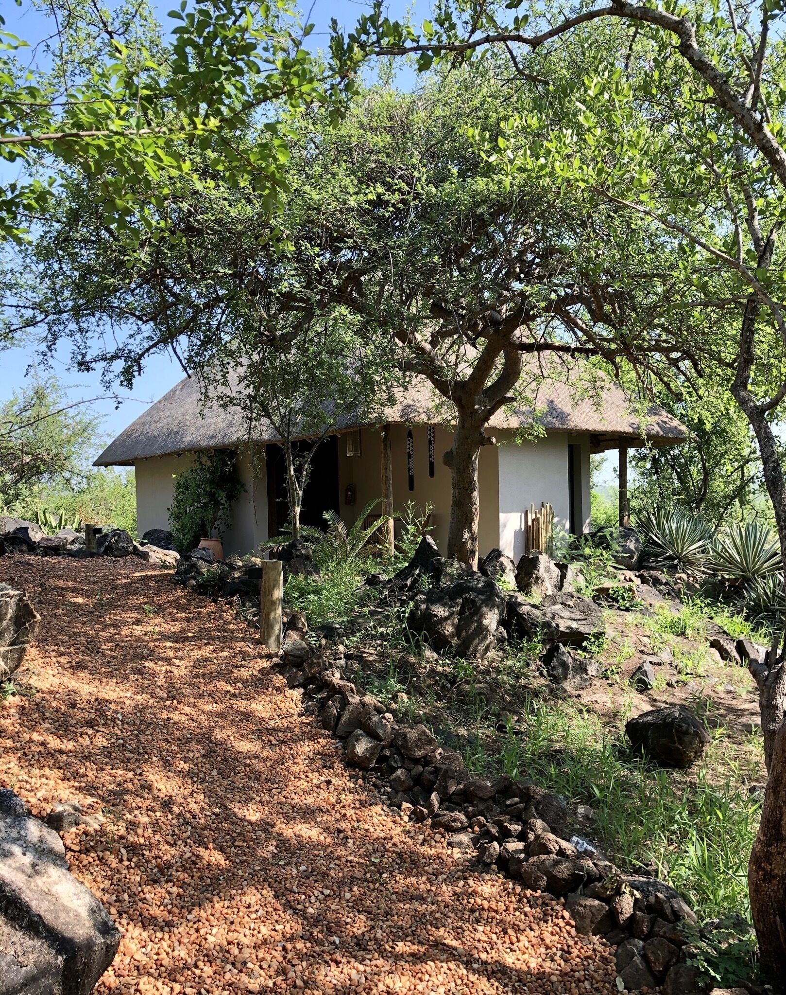 A house with a thatched roof, surrounded by a natural landscape with rocks and trees.