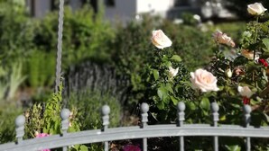 En skylt med texten ”Fecienwohntum” framför en vit byggnad med rött tak, omgiven av grönska och blommor.