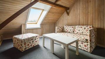 Télévision, cheminée, table de tennis de table