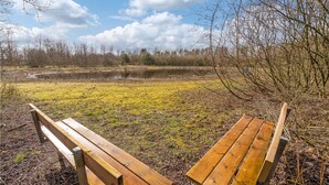 Eine hölzerne Bank mit Blick auf einen Teich in einer natürlichen Umgebung.
