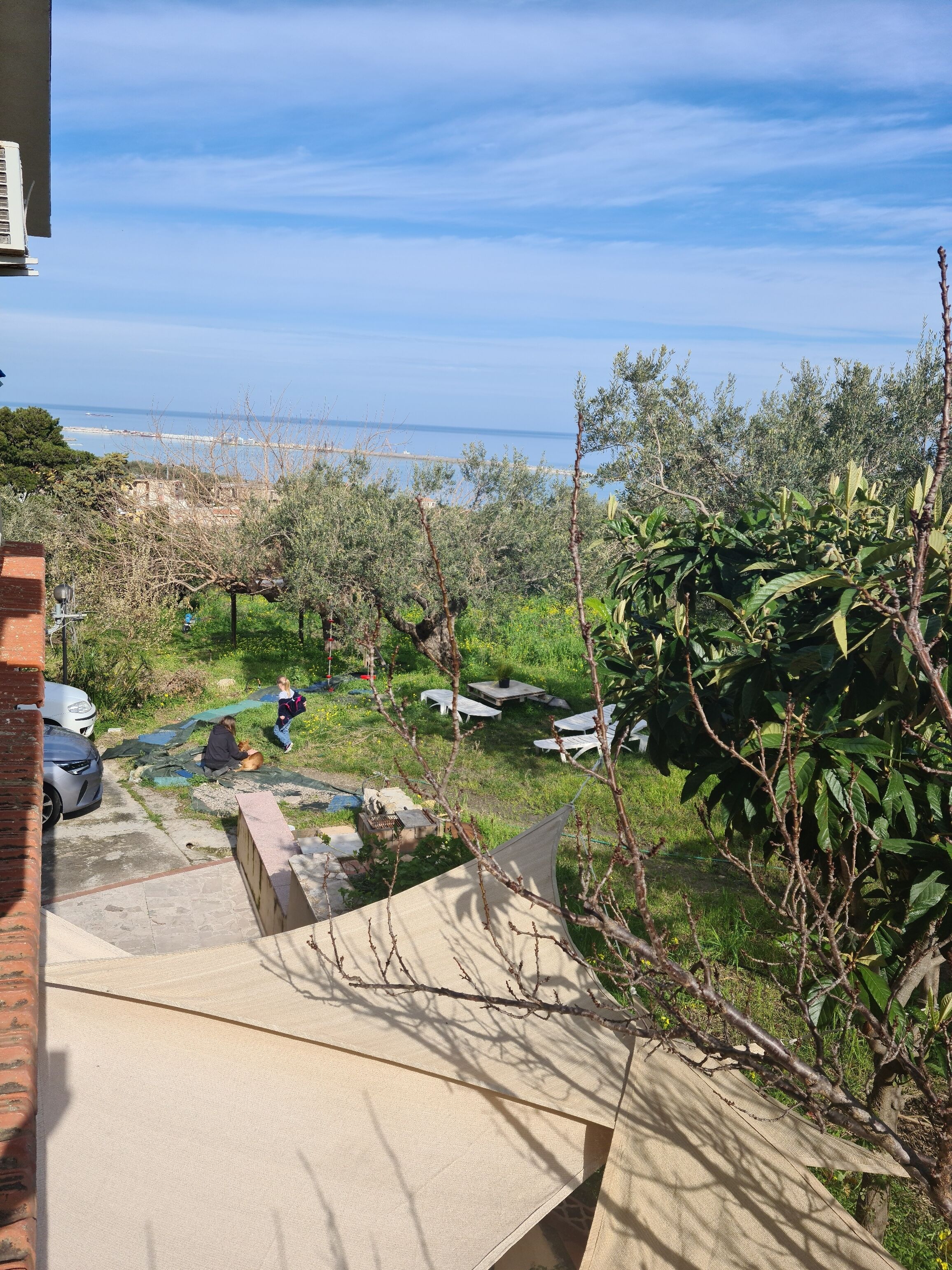 Parco della struttura