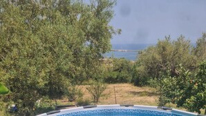 Ein Swimmingpool mit glasklarer, blauer Wasseroberfläche, umgeben von Grünpflanzen und Bäumen.