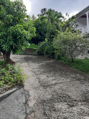 Property grounds - SeeView located on the side of the mountain with views of nature and the sea  (Saint- Claude)