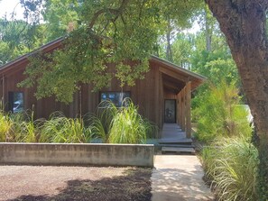 A wooden building with a covered porch, surrounded by greenery and a concrete pathway.
