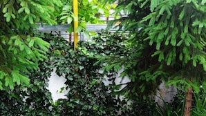 A table set outdoors with a blue tablecloth, surrounded by chairs with cushioned seats, in a garden area with dense foliage and a white wall in the background.