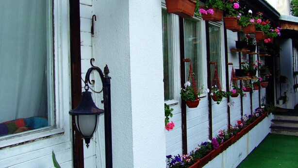 A building with white exterior walls, multiple windows, and hanging flower baskets with various flowers.