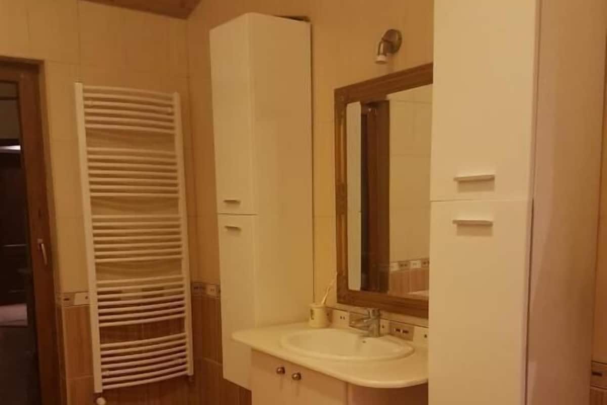 Monolocale | Bagno | Doccia, asciugamani