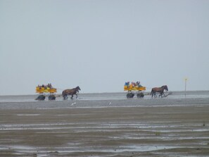Un grupo de personas en carruajes tirados por caballos en la playa.