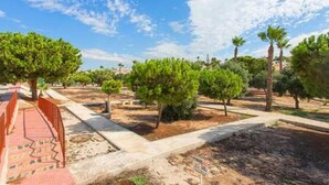 Un área ajardinada con árboles y un sendero pavimentado.