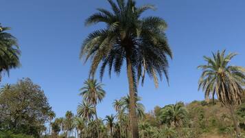 Vista da propriedade