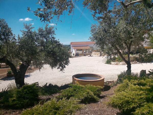 A courtyard with a water feature, olive trees, and a building with a red-tiled roof.