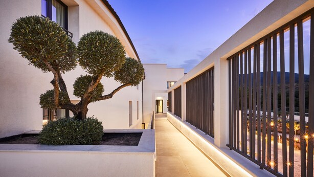 Un bâtiment moderne doté d’un étroit chemin d’accès, de grandes fenêtres et d’un arbre bien entretenu.