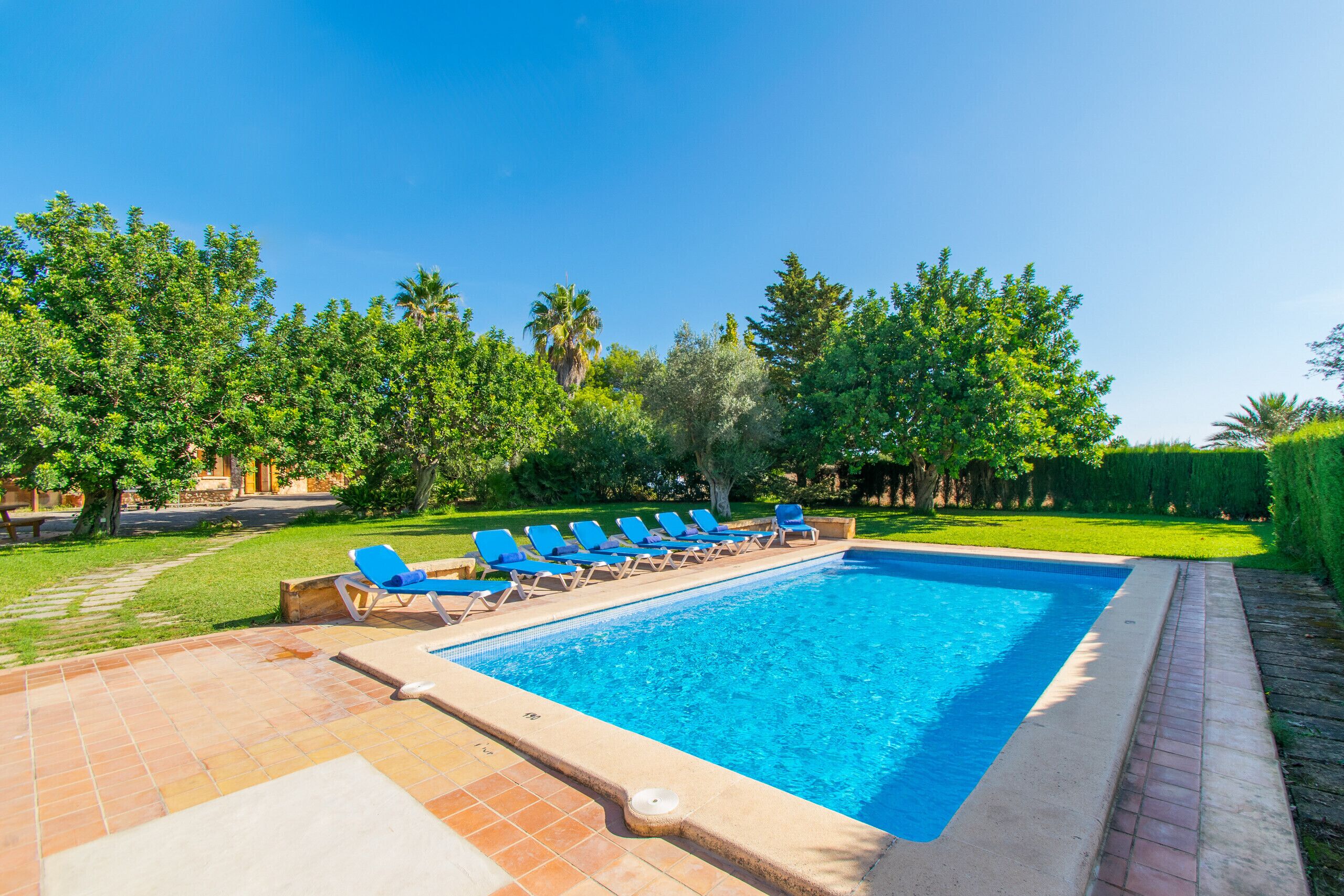 Une piscine rectangulaire à l’eau bleue, entourée d’une terrasse carrelée et de chaises longues bleues.