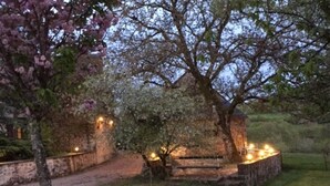 A rustic stone building with a wooden staircase leading up to a door, surrounded by a well-maintained lawn and flowering trees. - Would you like to let your mind wander? Welcome to the Morvan Nature Park (Cussy-en-Morvan)
