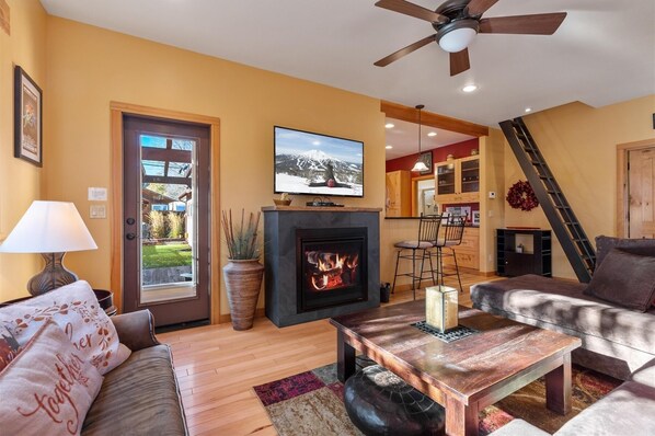 TV connectée, cheminée, lecteur de DVD, livres