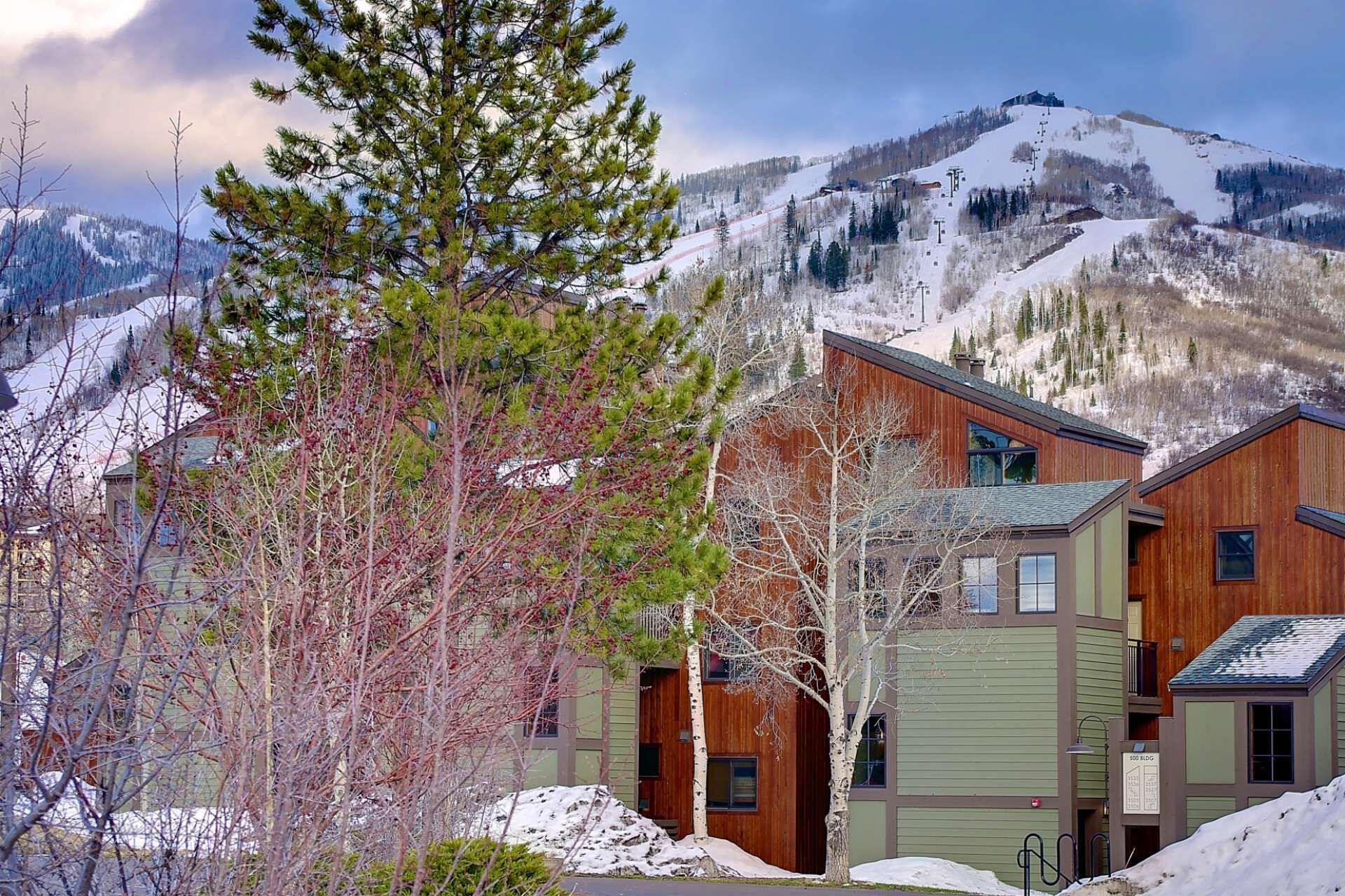 Un bâtiment moderne à la façade en bois, entouré de montagnes et d’arbres couverts de neige.