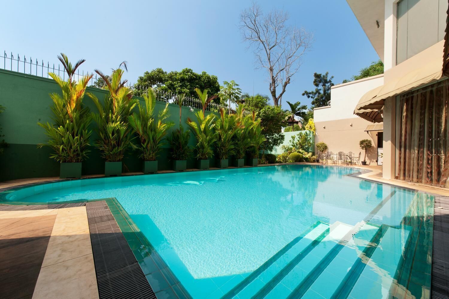 Una piscina con borde de baldosas, rodeada de plantas en macetas y un muro verde.