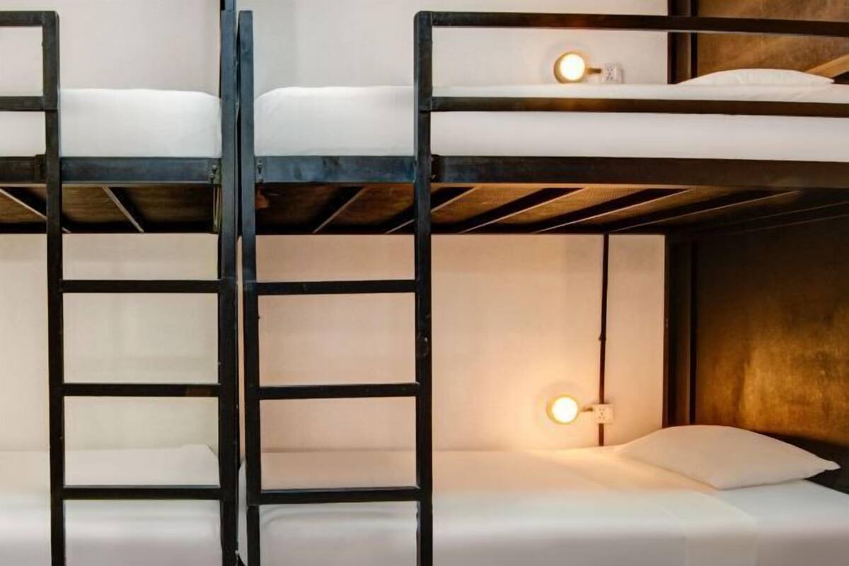 A bunk bed room with a ladder, a bedside lamp, and a wooden headboard.