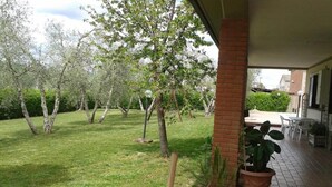 A patio area with a brick column, potted plants, and a grassy lawn with trees. - Agriturismo Il Punto Verde (Campagnatico)