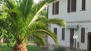 A white building with brown shutters, a palm tree, and potted plants in the foreground. - Agriturismo Il Punto Verde (Campagnatico)