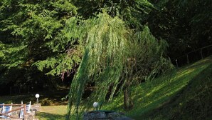 A stone wall with a weeping willow tree in a park setting. - Locanda Le Isole - "Mountain Hut" Apartment (last) (scarperia)