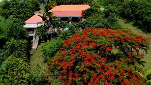 Exterior - Villa Nature Paradise - Alone, surrounded by nature (Le Diamant)