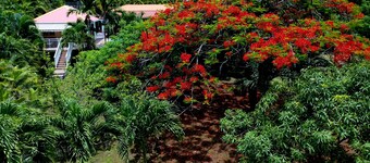V.N.P - Exceptional Secluded Luxury Location