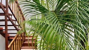 A staircase with a wooden handrail and red steps, surrounded by lush green palm plants. - Hospedería Sol Del Desierto - Hostel (Villavieja)