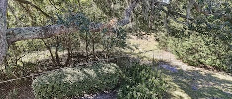 公寓客房, 3 間臥室 | 住宿一隅