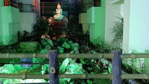 Una estatua de Buda en un jardín con un camino de piedra y follaje.