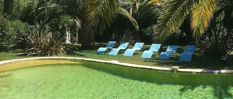 A clear pool with blue lounge chairs and palm trees.