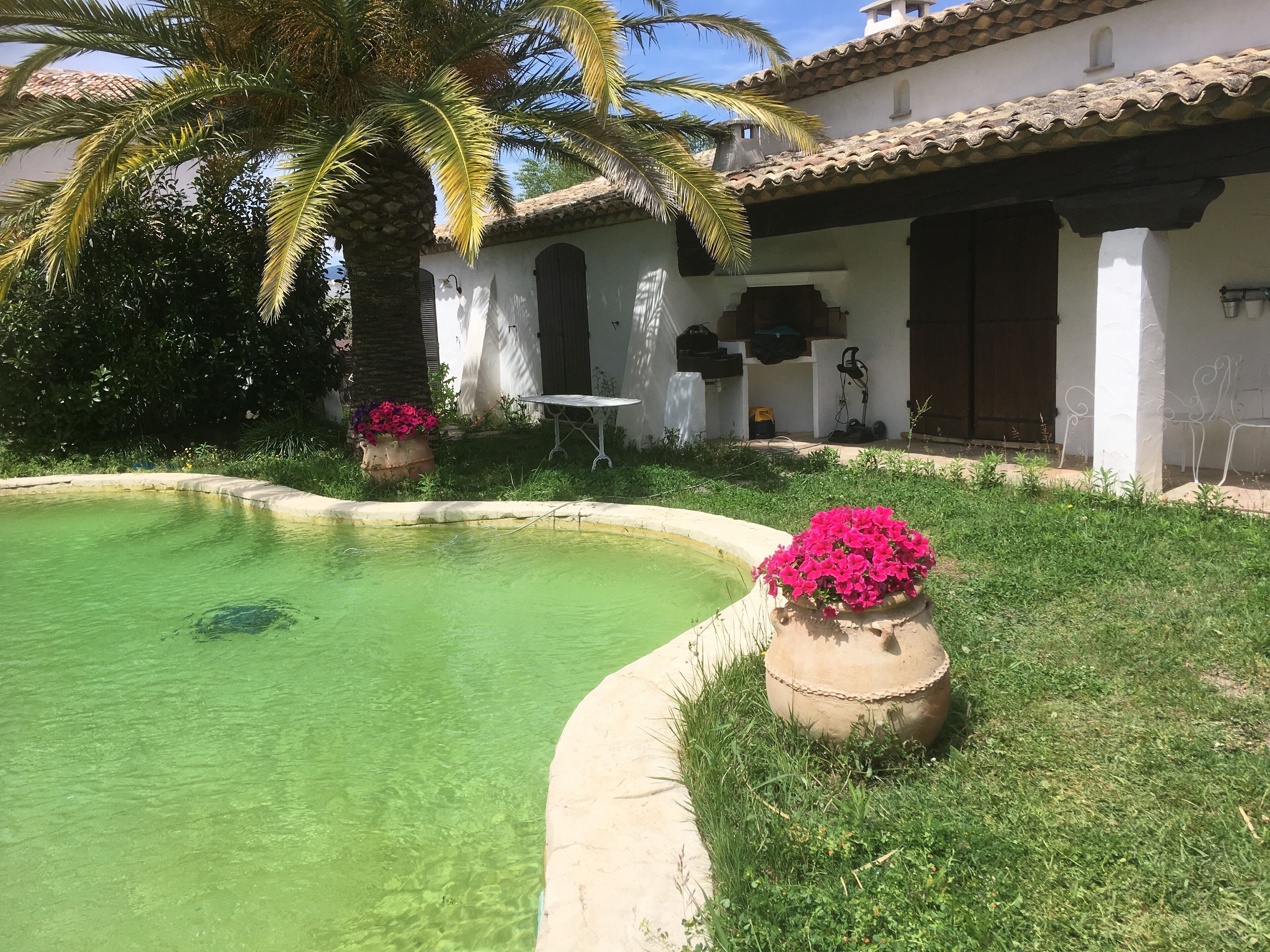 Une piscine à bords incurvés, entourée de pelouse et agrémentée de deux jardinières.
