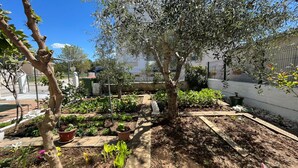 Un jardín con diversas plantas y un árbol.
