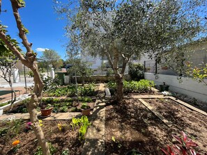 Garden - Apartments Kekic (Zadar)